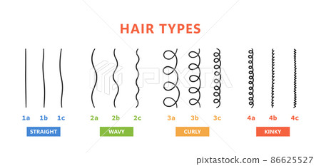 Classification of hair types - straight, wavy, curly, kinky. Scheme of different types of hair. Curly girl method. Vector illustration on white background Classification of hair types - straight, wavy, curly, kinky. Scheme of different types of hair. Curly girl method. Vector illustration on white background 86625527