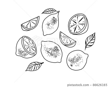 Lemon hand drawn set. Whole and sliced fruit black and white. Vector illustration in doodle style 86626165