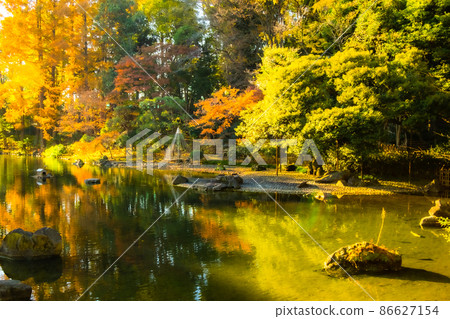 Garden scenery with colorful autumn leaves in full bloom Garden scenery with colorful autumn leaves in full bloom 86627154