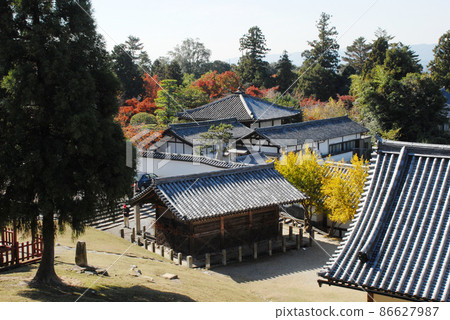 Scenery from Todaiji Nigatsudo, Nara City 86627987