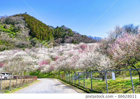 東京都八王子市高尾梅鄉 Kogesawa Plum Grove 86628011