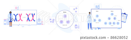 Mitosis process concept 86628052