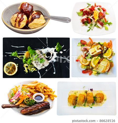 Collection of various French dishes Collection of various French dishes 86628516