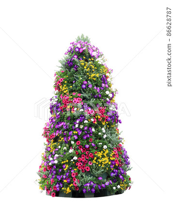 artificial tree from petunia flowers isolated on white background artificial tree from petunia flowers isolated on white background 86628787