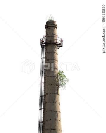 trees grown on an old chimney, ecological frame isolated on white background 86628836