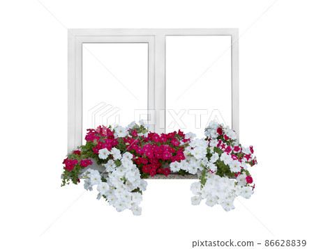 window with petunia flowers isolated on white background 86628839