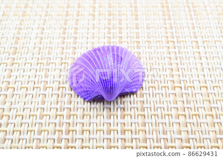 Seashell Seashell 86629431
