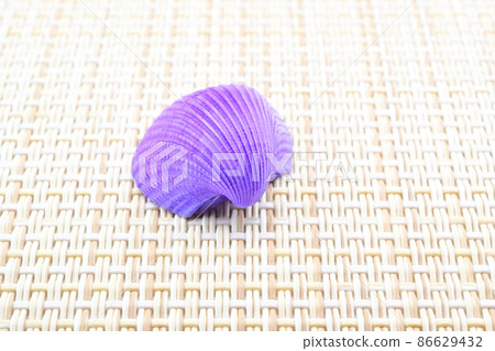 Seashell Seashell 86629432