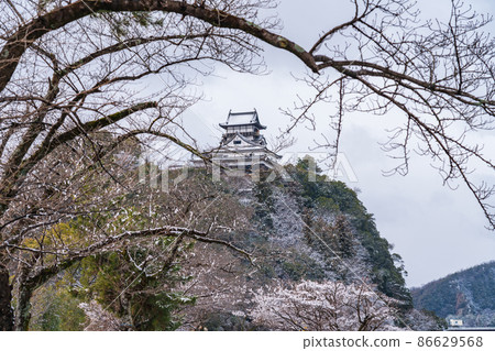 雪國國寶犬山城<愛知縣犬山市> 雪國國寶犬山城<愛知縣犬山市> 86629568