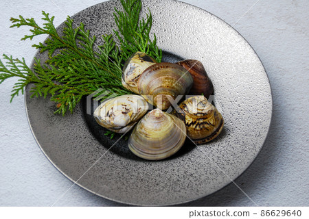 Fresh clams Fresh clams 86629640