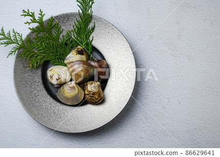 Fresh clams Fresh clams 86629641