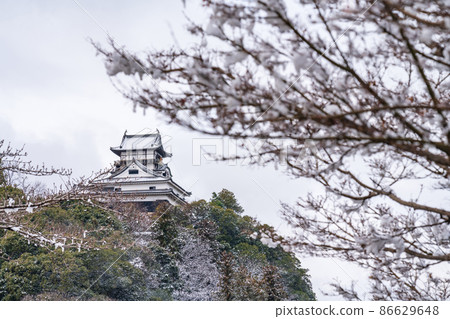 Inuyama Castle, a national treasure of snow <Inuyama City, Aichi Prefecture> Inuyama Castle, a national treasure of snow <Inuyama City, Aichi Prefecture> 86629648