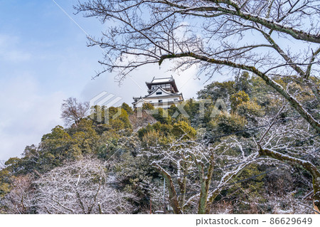 Inuyama Castle, a national treasure of snow <Inuyama City, Aichi Prefecture> Inuyama Castle, a national treasure of snow <Inuyama City, Aichi Prefecture> 86629649