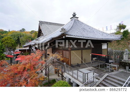 [Chugoku 33 Kannon Sacred Ground] No. 5 Daishido, Main Hall and Autumn Leaves of Hokaiin 4 Kita-ku, Okayama City, Okayama Prefecture 86629772