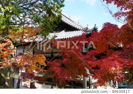 [瀨戶內33觀音聖地]岡山縣倉敷市1號風來觀音寺紅葉和大殿1 86630817