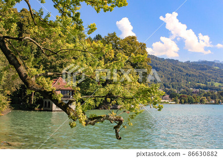 [圖恩湖] 圖恩湖 86630882