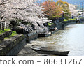 Beautiful lakeside cherry blossoms 86631267