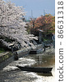 Beautiful cherry blossoms and lakeside boat 86631318