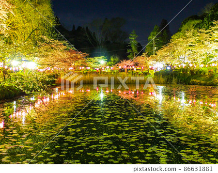 Mobara Sakura Festival in Mobara City, Chiba Mobara Sakura Festival in Mobara City, Chiba 86631881