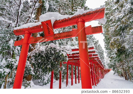 Senbon Torii of Nangu Shrine and Nangu Inari Shrine in the snow <Fuwa-gun, Gifu Prefecture> 86632393