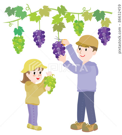 Parents and children hunting grapes Girls and dads 86632459