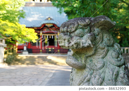 Izusan Shrine (Atami City, Shizuoka Prefecture) Izusan Shrine (Atami City, Shizuoka Prefecture) 86632993