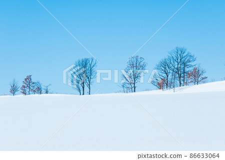 Hokkaido winter scenery on a sunny day 86633064