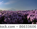 Shibazakura and Mt. Fuji 86633606