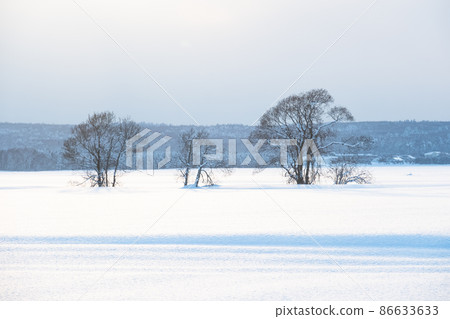 Hokkaido winter scenery at dusk 86633633