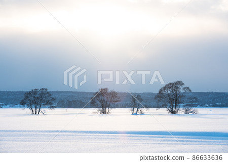 Hokkaido winter scenery at dusk 86633636