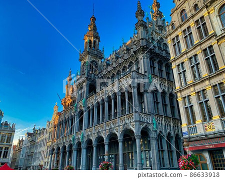 Sunny Grand Place and historic building Sunny Grand Place and historic building 86633918