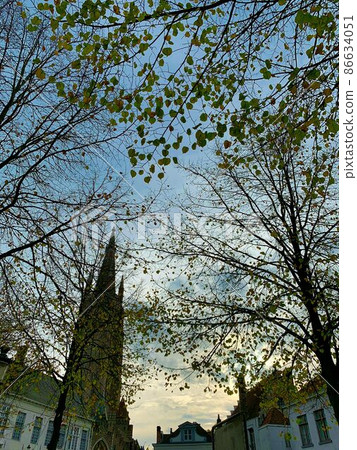 [Museum without a roof] Dead trees and building silhouettes of the historic ancient city of Bruges 86634051