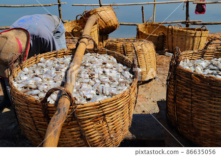 柬埔寨洞里薩湖漁場風光 柬埔寨洞里薩湖漁場風光 86635056