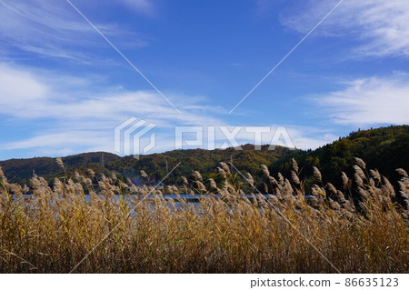 There was a wonderful lake. (Around Lake Aoki in Shinshu Omachi) I went to Nagano Prefecture Autumn Salt Road Walking. Elementary 86635123