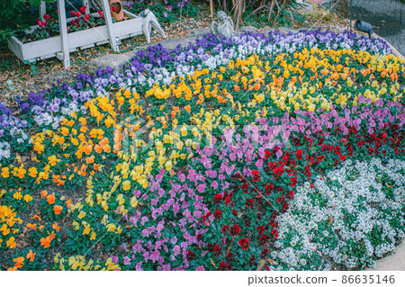 A colorful flower bed A colorful flower bed 86635146