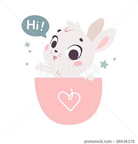 Vector flat illustration with cute little bunny animal sit in pink pocket isolated. Vector flat illustration with cute little bunny animal sit in pink pocket isolated. 86636170