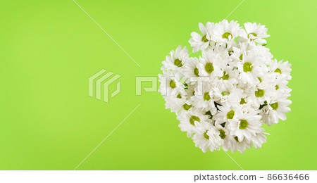 Daisy flowers bouquet 86636466