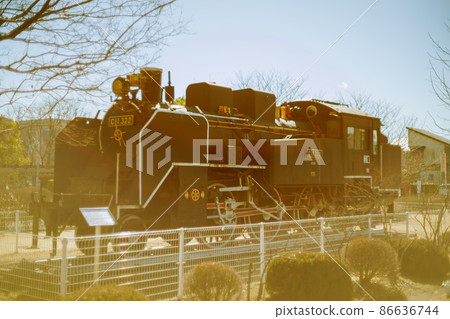 靜態存放在公園的蒸汽機車 靜態存放在公園的蒸汽機車 86636744