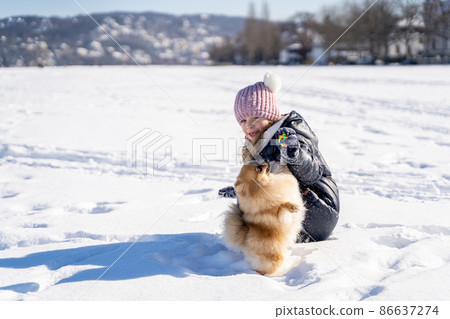 Little girl in warm clothes training and giving food to dog pet Spitz on snow 86637274