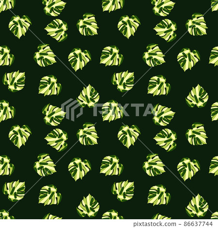 Monstera leaves tropical seamless pattern. - Stock Illustration ...