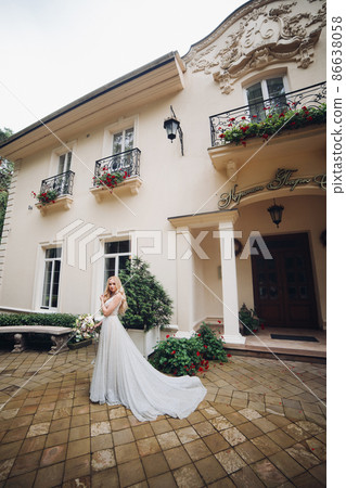 Bride in perfect wedding dress posing against Bride in perfect wedding dress posing against 86638058