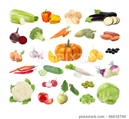 Collection of vegetables in a realistic style. Detailed illustrations. 86638790