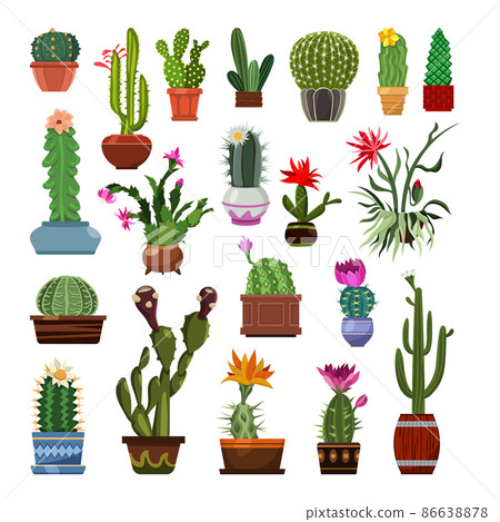 Collection of detailed cacti isolated on white background. 86638878