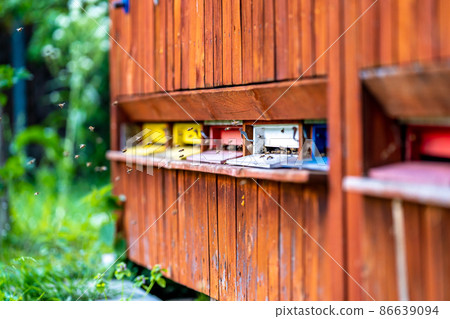 bees flying in a colorful wooden hive bees flying in a colorful wooden hive 86639094