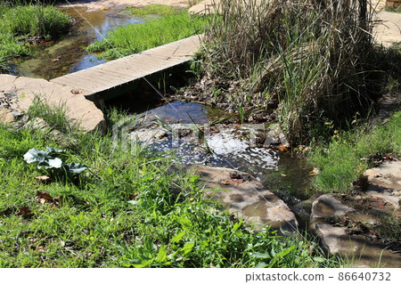 footbridge in a city park in northern Israel. 86640732