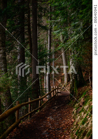 Forest trail with fence, hiking in the woods, Ukrainian Carpathians and hiking trails. Forest trail with fence, hiking in the woods, Ukrainian Carpathians and hiking trails. 86640941
