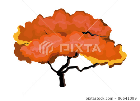 Realistic green sprawling tree isolated on white background - Vector Realistic green sprawling tree isolated on white background - Vector 86641099