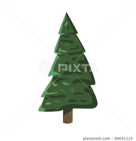 Realistic green spruce isolated on white background - Vector 86641125