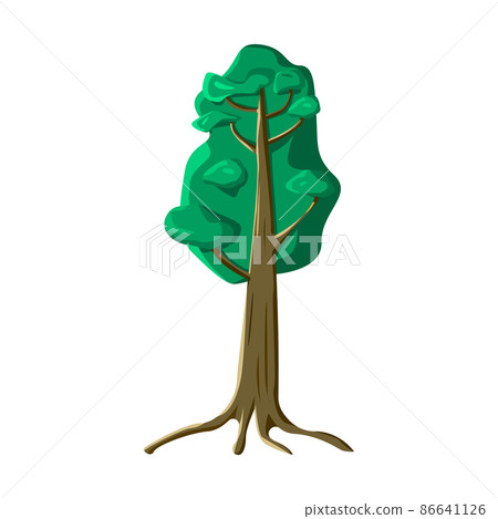 Realistic green old tall tree isolated on white background - Vector 86641126