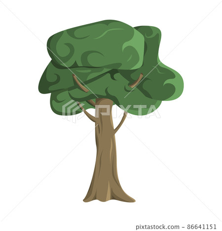 Realistic green oak tree isolated on white background - Vector Realistic green oak tree isolated on white background - Vector 86641151